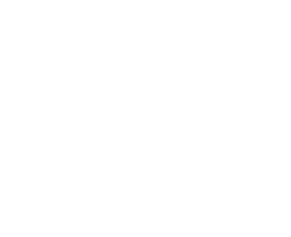 Will Green CAR WORKS